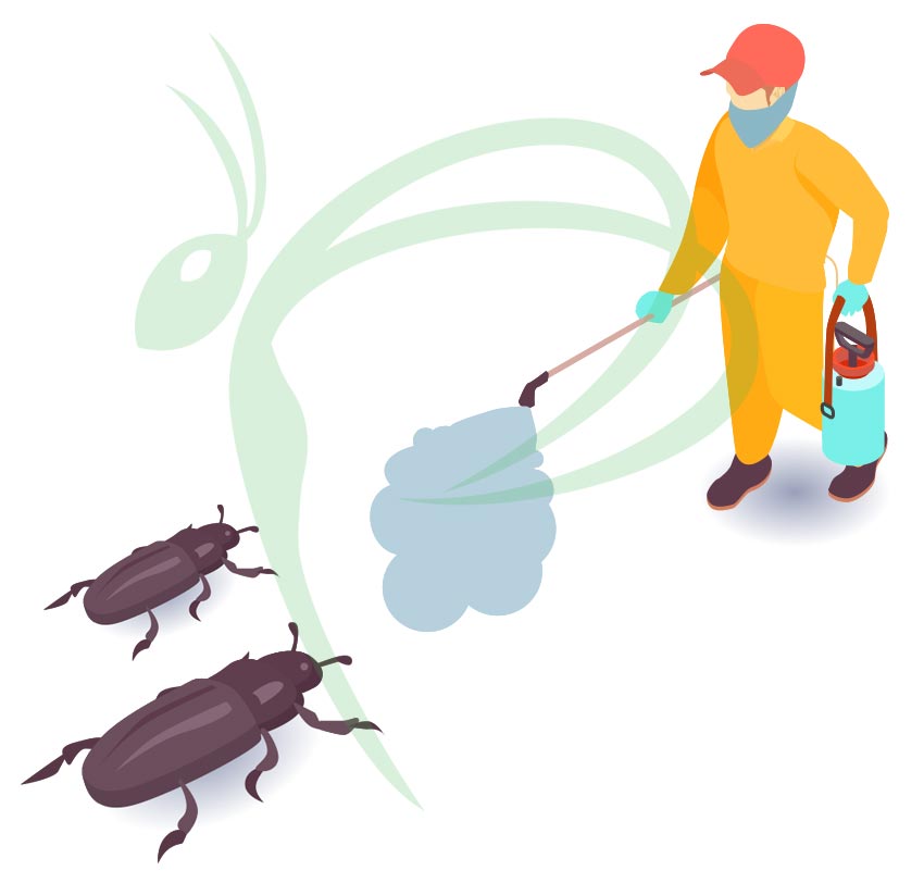 Bahçelievler Böcek İlaçlama – Profesyonel ve Garantili 