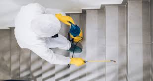 Bahçelievler Böcek İlaçlama – Etkili ve Garantili Haşer