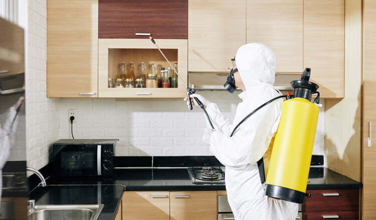 Haşere Ev  Böcek İlaclama