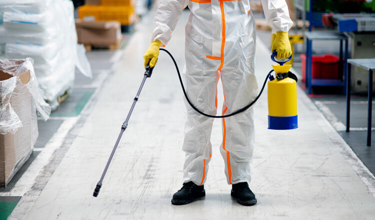 Şişli’de Profesyonel Böcek İlaçlama Hizmeti – Sağlığını