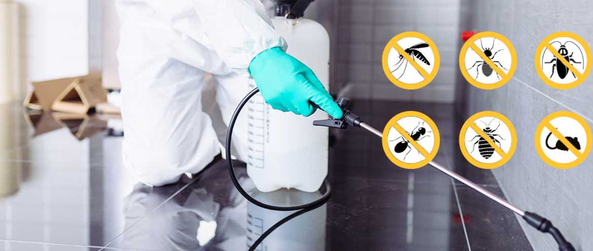 Küçükçekmece Böcek İlaçlama – Etkili ve Güvenilir Haşer